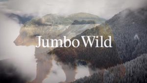 snowboard_jumbowild-patagonia-film